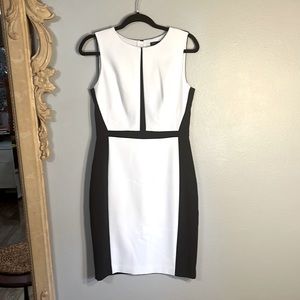 WHBM - Classy Fitted Color Block Dress. Fully Lined.